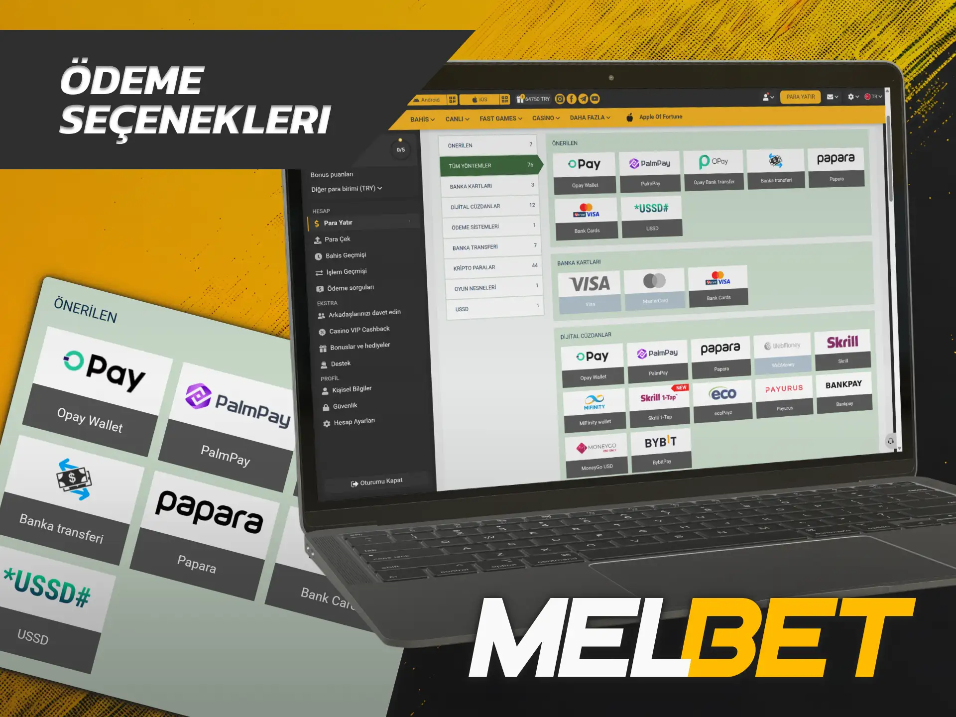 Finansal transfer yöntemlerini görmek üzere Melbet ana sayfa platformunu kullanın.