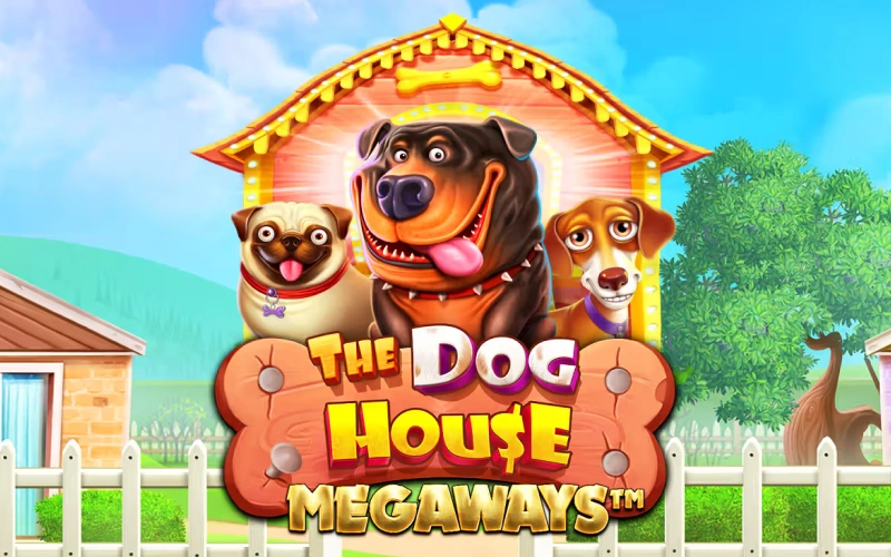Melbet slot kataloğundaki Dog House Megaways ile şansınızı şimdi deneyin.