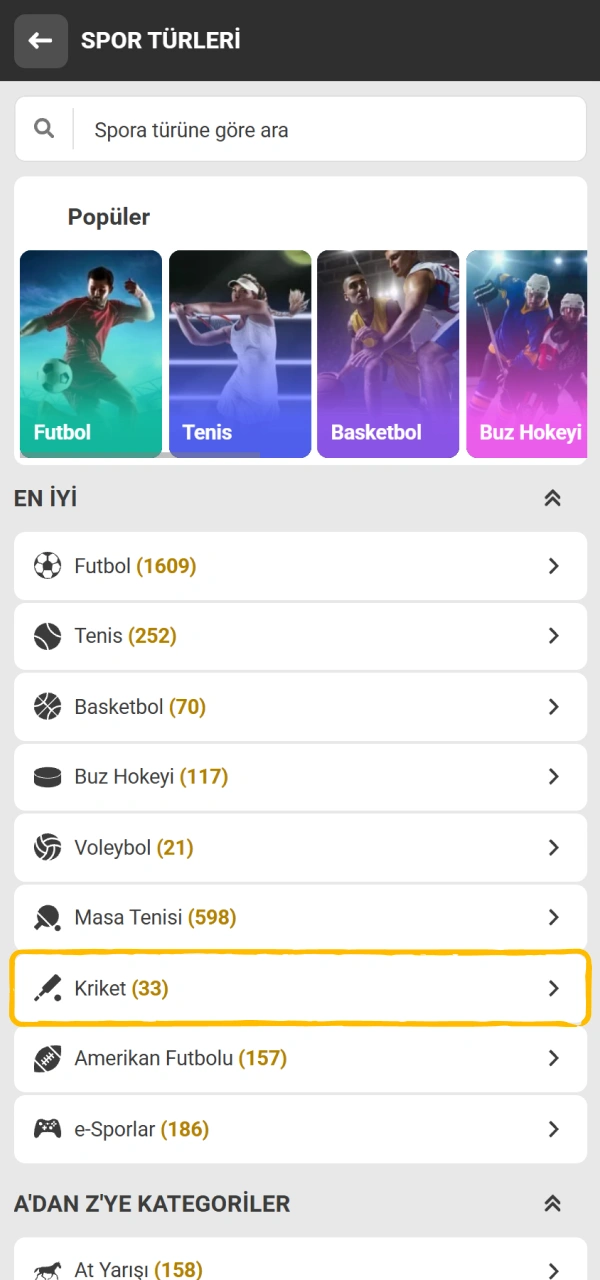 Spor menüsünden kriket kategorisini bularak Melbet kriket bahisi seçeneklerine geçin.