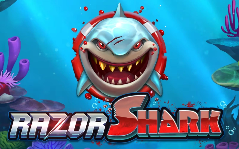 Melbet platformunda Razor Shark slot oyunu ile büyük kazançlar elde edin.